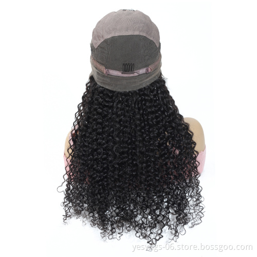 Human Hair Vendors Unprocessed Virgin Cuticle Aligned Swiss Lace Wig Free Sample Afro Kinky Curly Full Lace Wig Raw Indian Hair